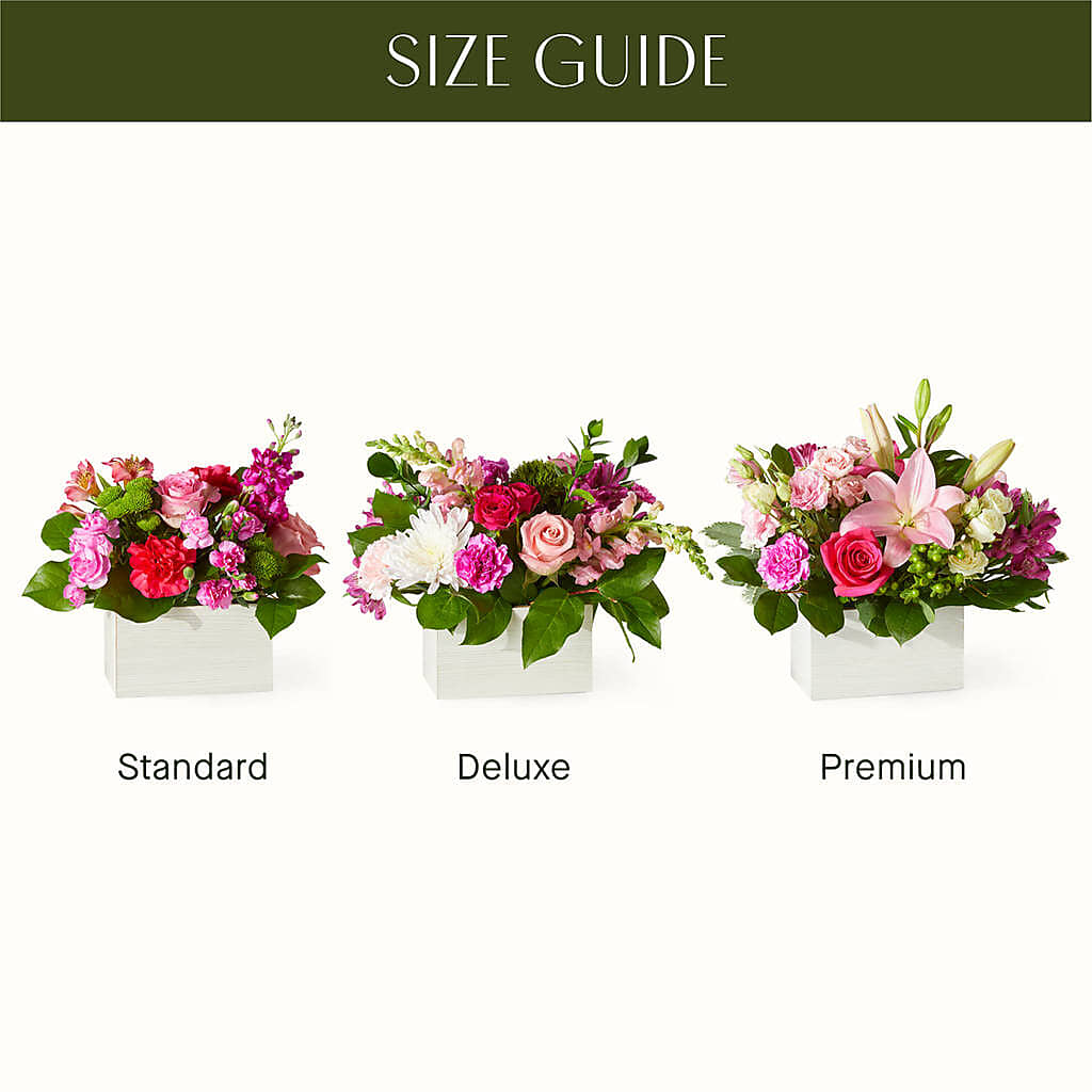 Sweetberry Box – A Florist Original – SWEET CREATIONS BROOKFIELD FLWRS & BLLNS, Brookfield IL