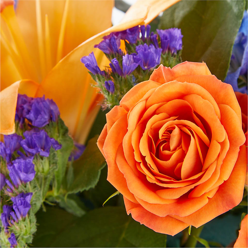Radiant Citrus Box Bouquet – SWEET CREATIONS BROOKFIELD FLWRS & BLLNS, Brookfield IL