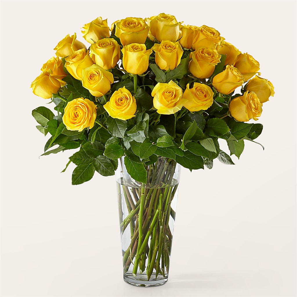 Long Stem Yellow Rose Bouquet – SWEET CREATIONS BROOKFIELD FLWRS & BLLNS, Brookfield IL