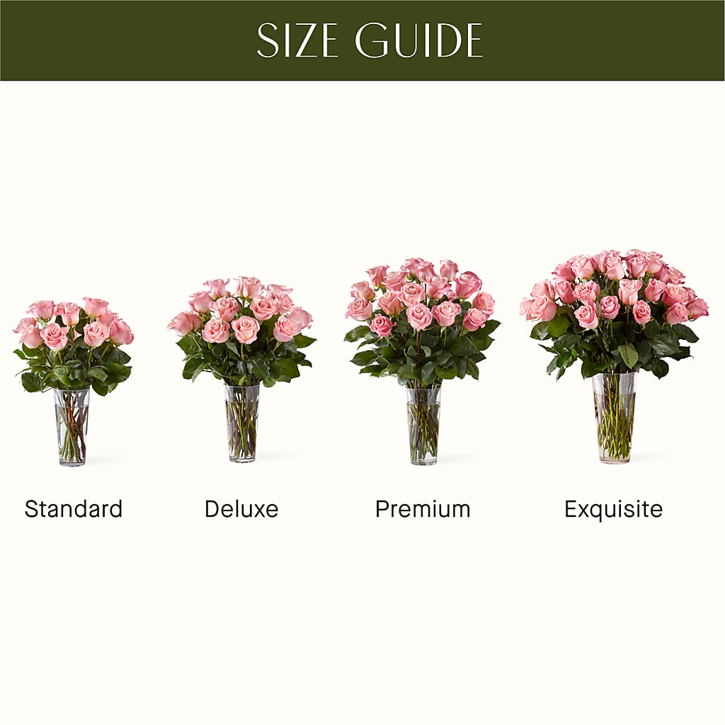 Long Stem Pink Rose Bouquet – SWEET CREATIONS BROOKFIELD FLWRS & BLLNS, Brookfield IL