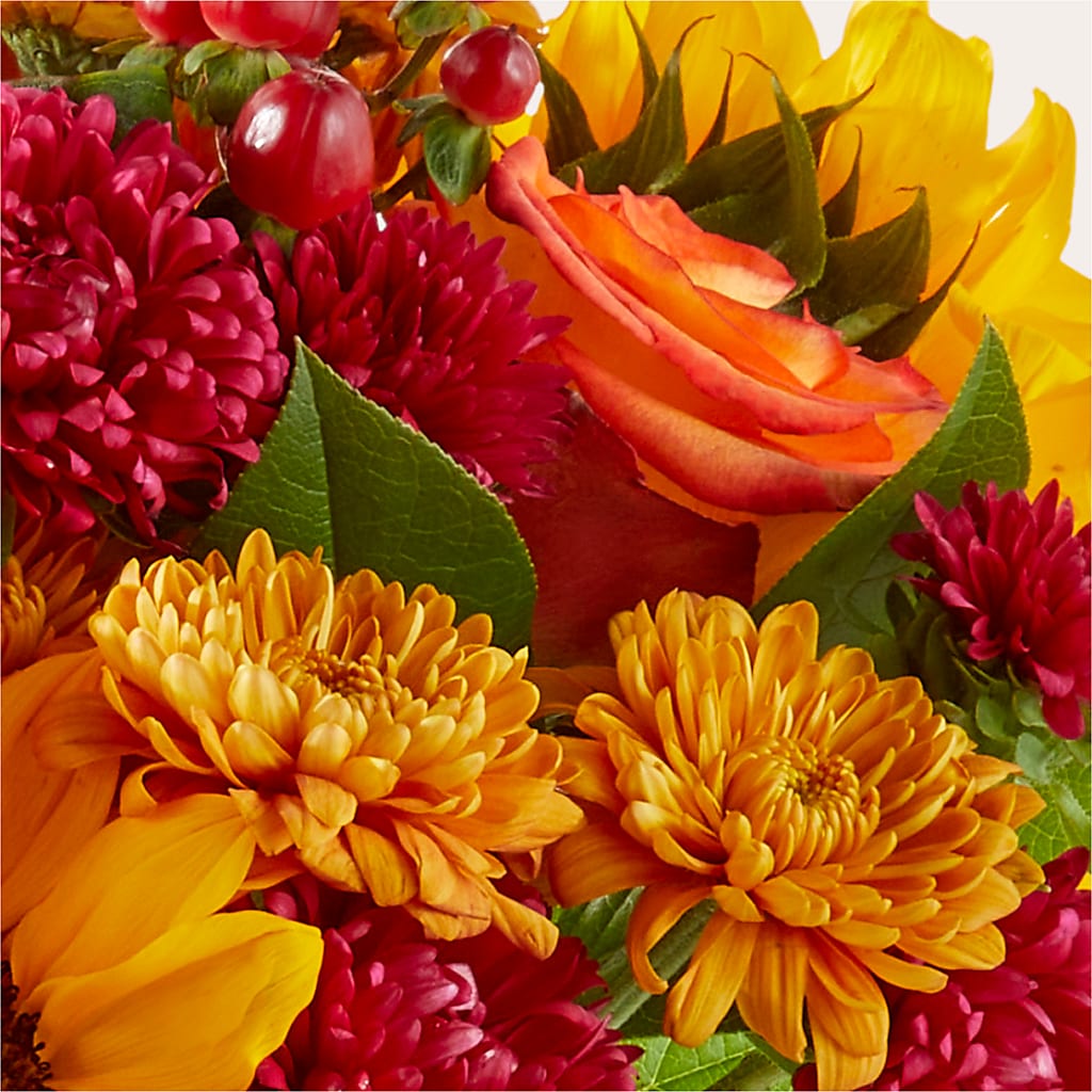 Sweater Season - A Florist Original – SWEET CREATIONS BROOKFIELD FLWRS & BLLNS, Brookfield IL