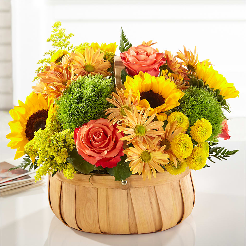 Harvest Sunflower Basket – SWEET CREATIONS BROOKFIELD FLWRS & BLLNS, Brookfield IL