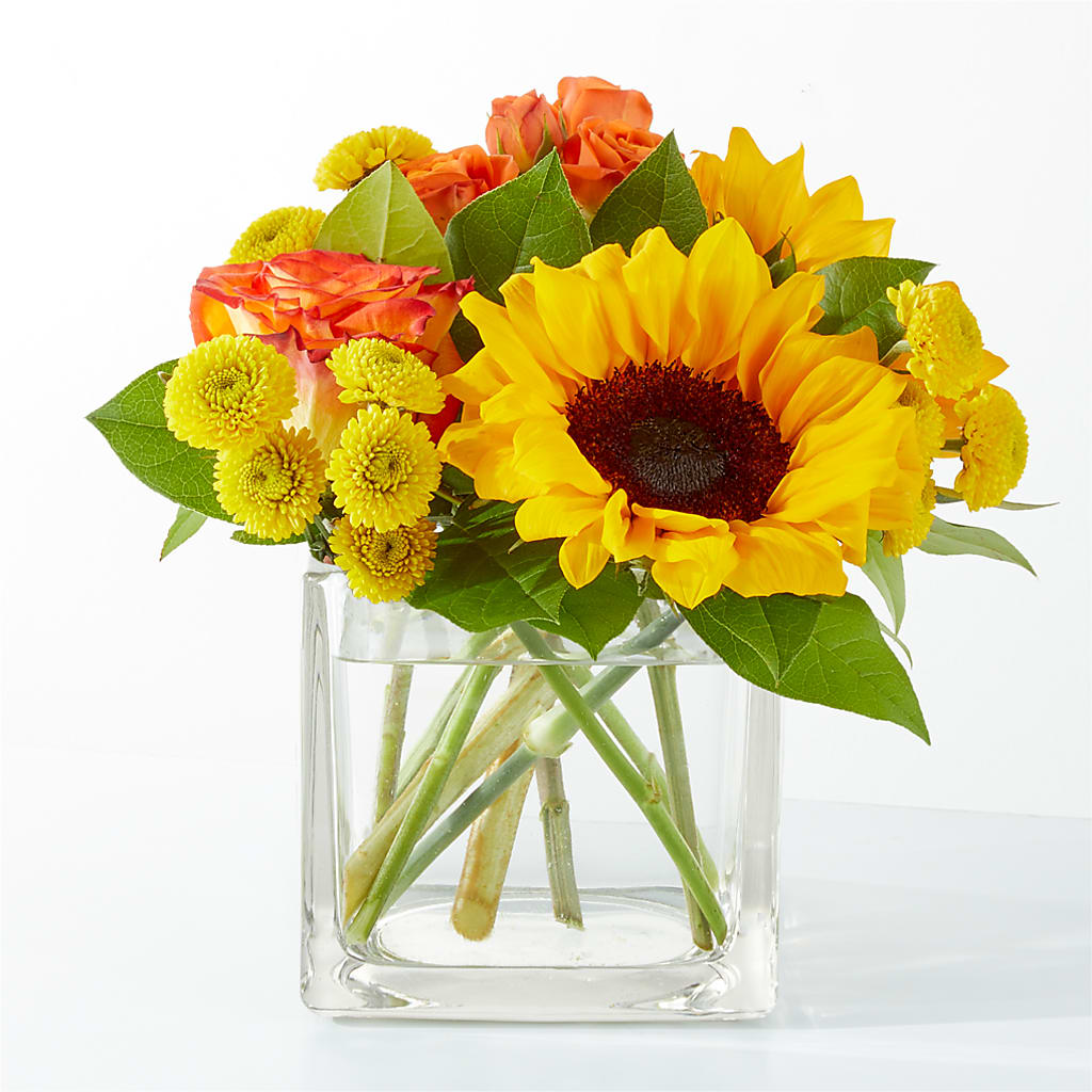 Picnic in the Park Bouquet – SWEET CREATIONS BROOKFIELD FLWRS & BLLNS, Brookfield IL