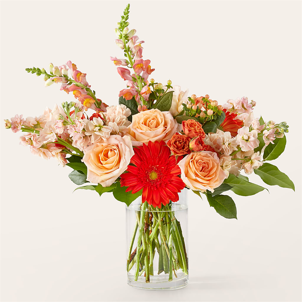 Paloma Please Bouquet – SWEET CREATIONS BROOKFIELD FLWRS & BLLNS, Brookfield IL
