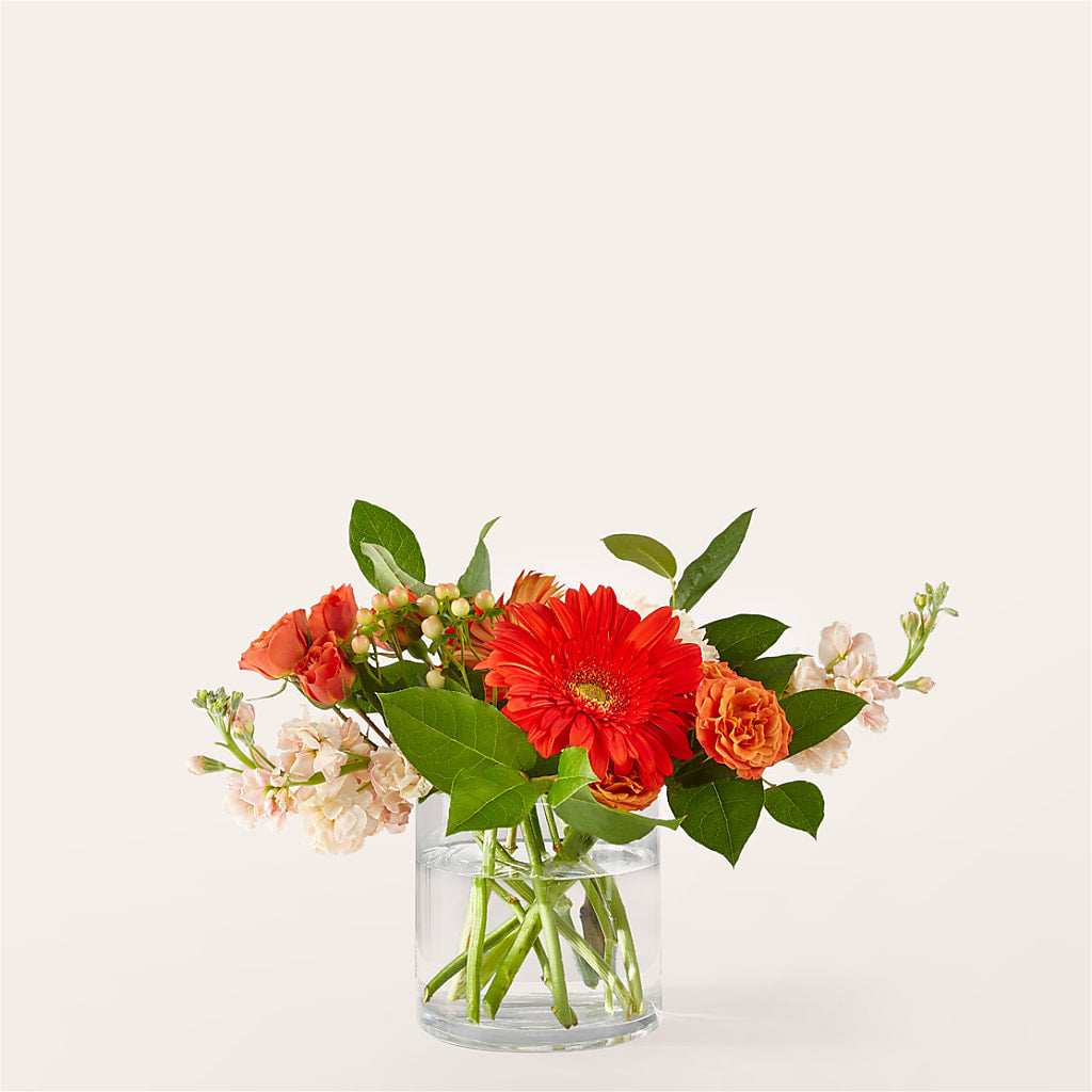 Paloma Please Bouquet – SWEET CREATIONS BROOKFIELD FLWRS & BLLNS, Brookfield IL