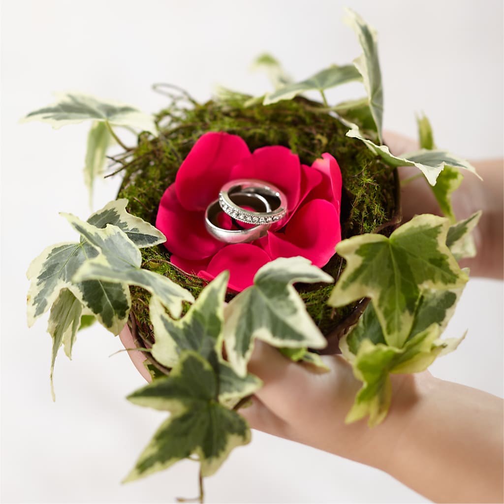 Lila Rose Ring Nest – SWEET CREATIONS BROOKFIELD FLWRS & BLLNS, Brookfield IL