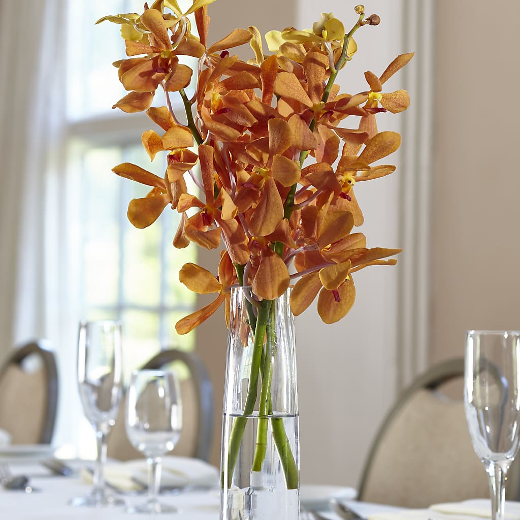 Orange Mokara Bud Vase – SWEET CREATIONS BROOKFIELD FLWRS & BLLNS, Brookfield IL