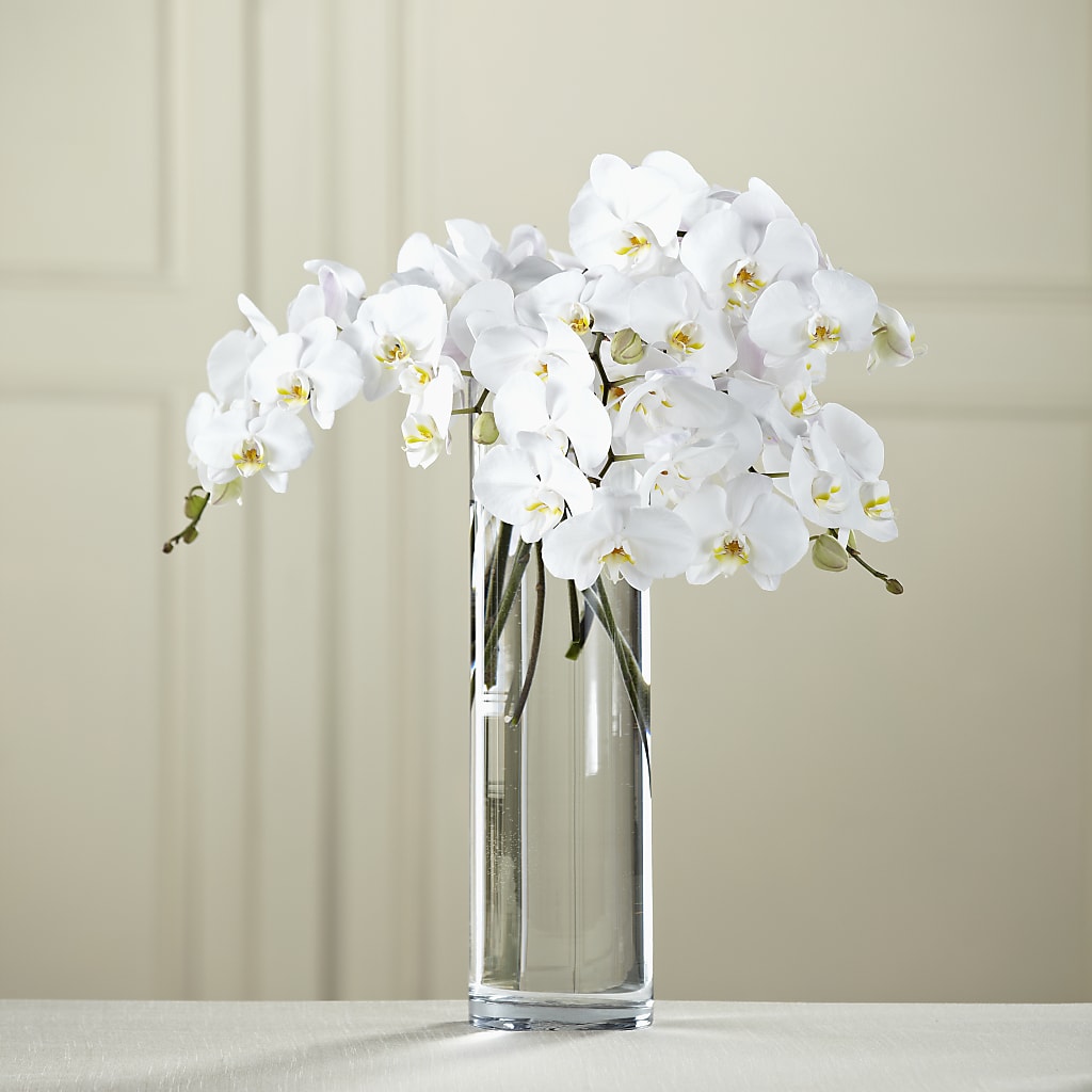 White Phalaenopsis Bouquet – SWEET CREATIONS BROOKFIELD FLWRS & BLLNS, Brookfield IL