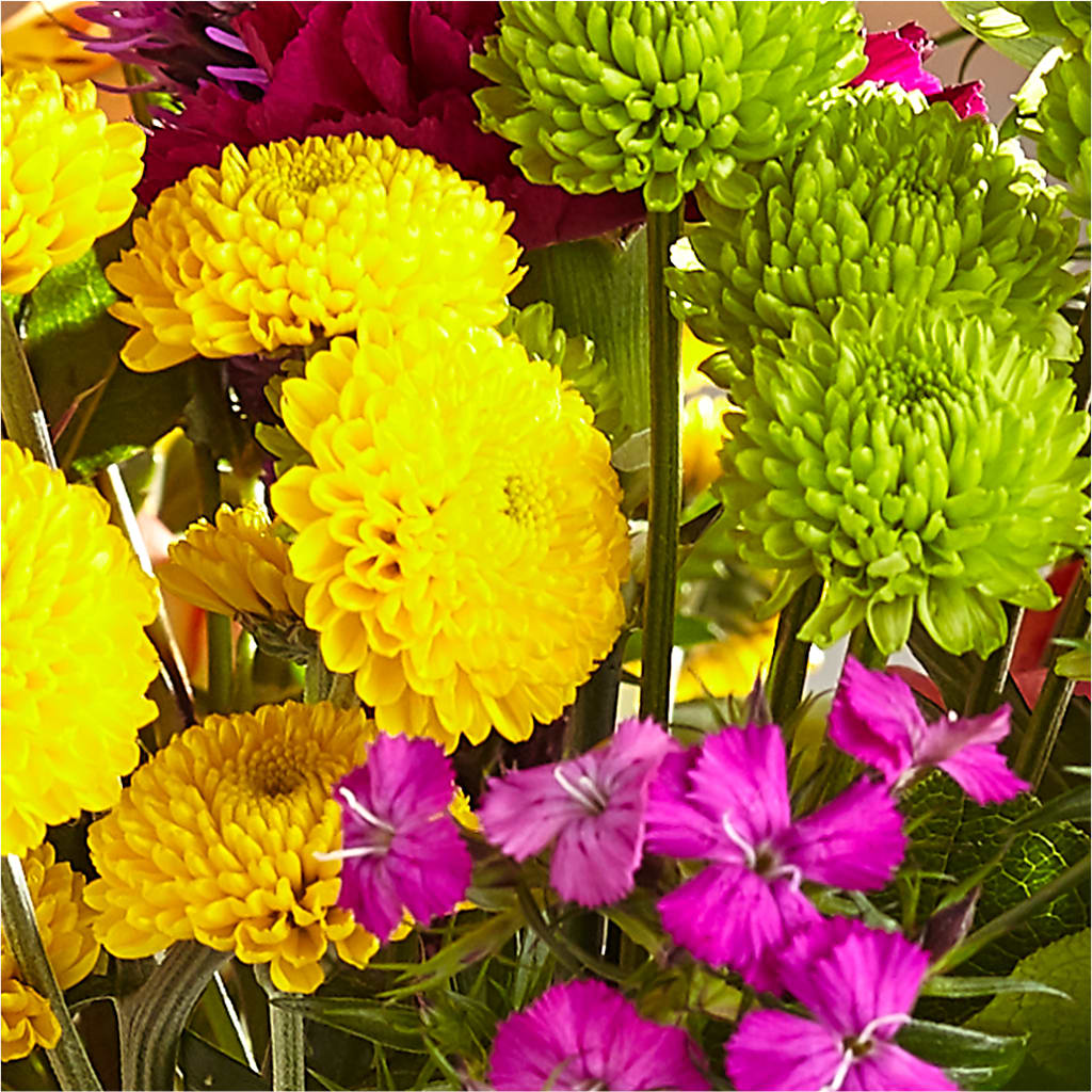 Bold & Bright – A Florist Original – SWEET CREATIONS BROOKFIELD FLWRS & BLLNS, Brookfield IL