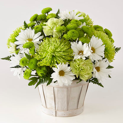 Lucky Charm Basket (Standard) – SWEET CREATIONS BROOKFIELD FLWRS & BLLNS, Brookfield IL