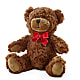 Adorable Plush Bear – SWEET CREATIONS BROOKFIELD FLWRS & BLLNS, Brookfield IL