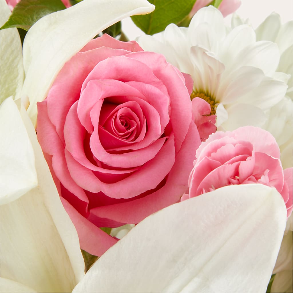 Whispers of Comfort Bouquet – SWEET CREATIONS BROOKFIELD FLWRS & BLLNS, Brookfield IL