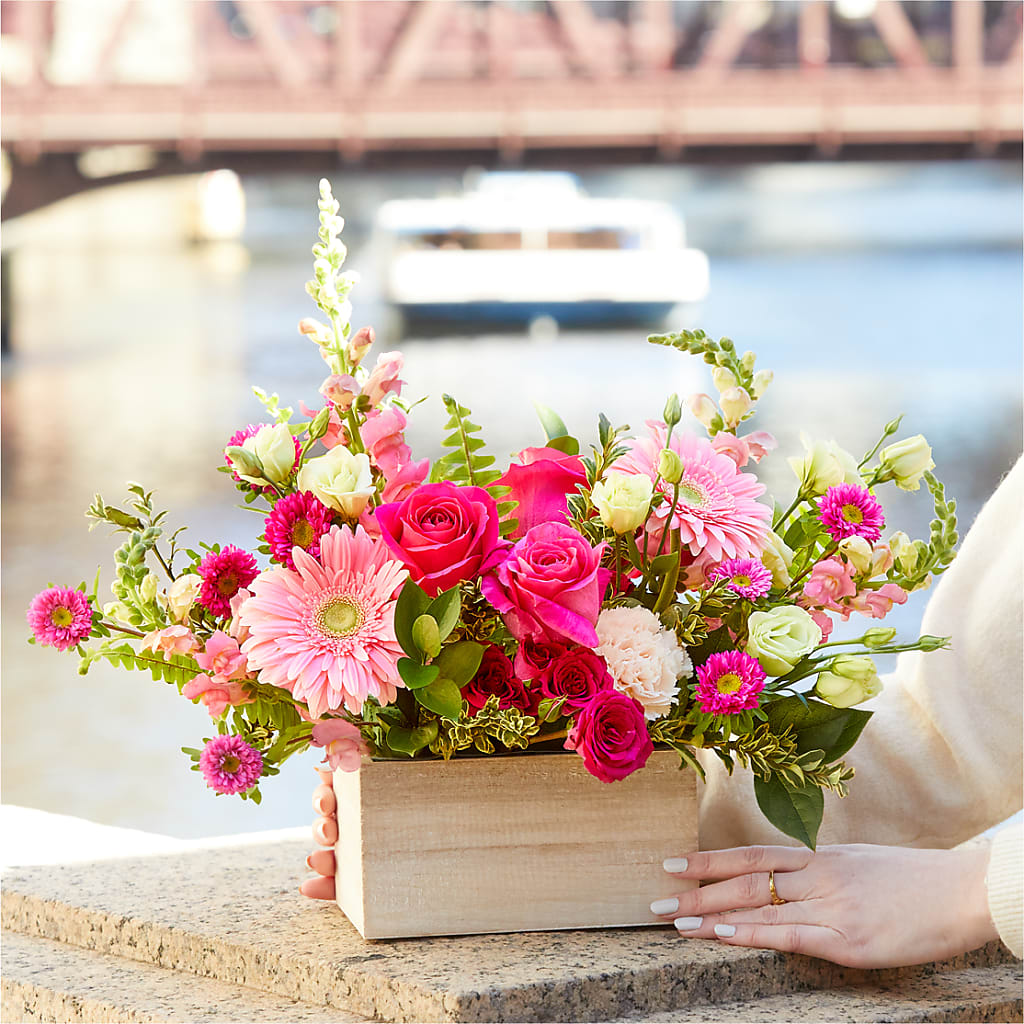 Too Cute Bouquet – SWEET CREATIONS BROOKFIELD FLWRS & BLLNS, Brookfield IL