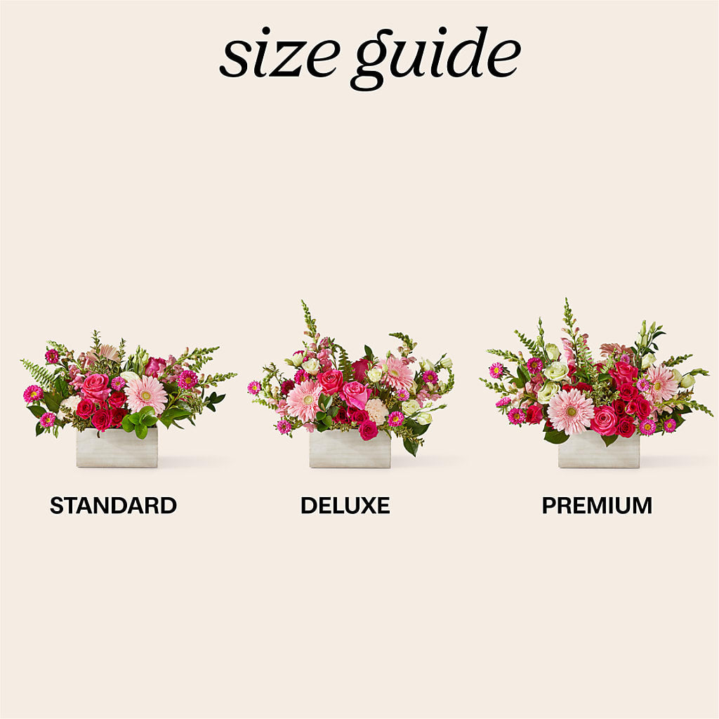 Too Cute Bouquet – SWEET CREATIONS BROOKFIELD FLWRS & BLLNS, Brookfield IL