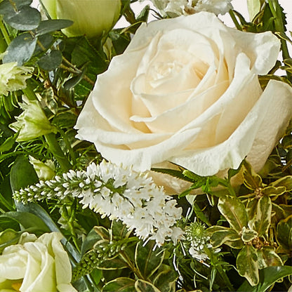 Cashmere Bouquet – SWEET CREATIONS BROOKFIELD FLWRS & BLLNS, Brookfield IL