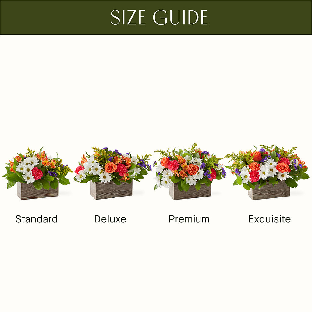 Oopsie Daisy Box Bouquet – SWEET CREATIONS BROOKFIELD FLWRS & BLLNS, Brookfield IL