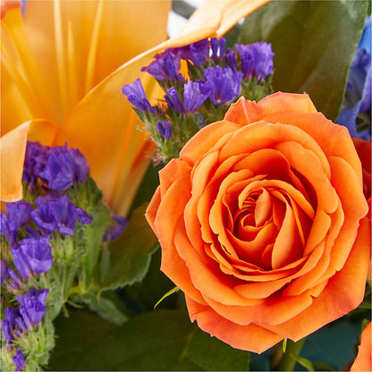 Radiant Citrus Box Bouquet – SWEET CREATIONS BROOKFIELD FLWRS & BLLNS, Brookfield IL