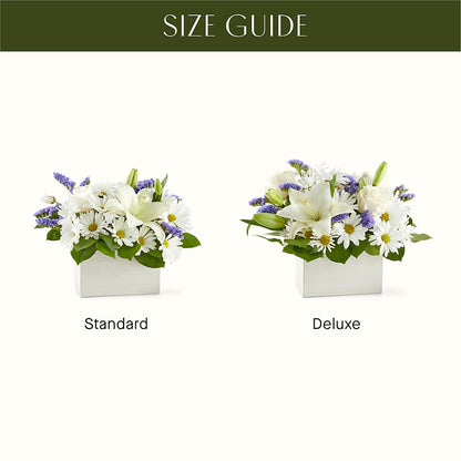 Beyond Blue Box Bouquet – SWEET CREATIONS BROOKFIELD FLWRS & BLLNS, Brookfield IL