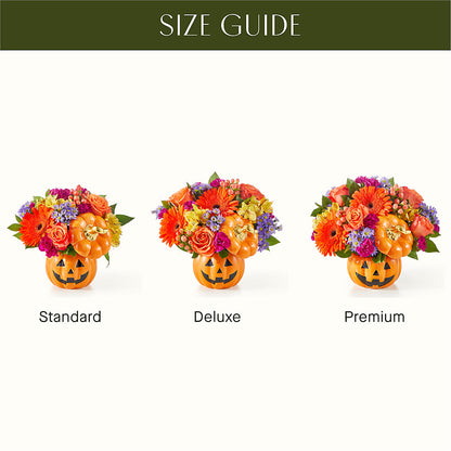Tricks & Treats Pumpkin – SWEET CREATIONS BROOKFIELD FLWRS & BLLNS, Brookfield IL