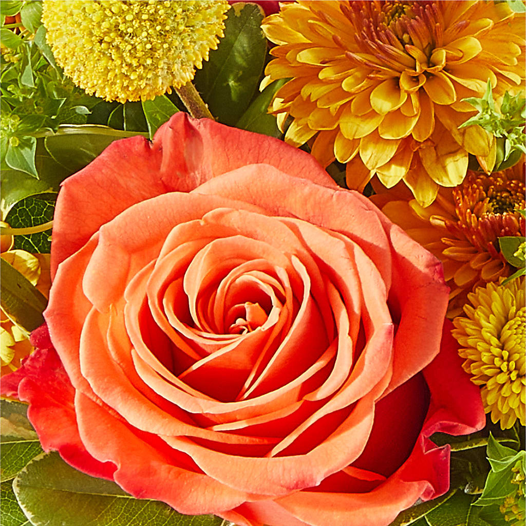Gourdgeous Pumpkin – SWEET CREATIONS BROOKFIELD FLWRS & BLLNS, Brookfield IL