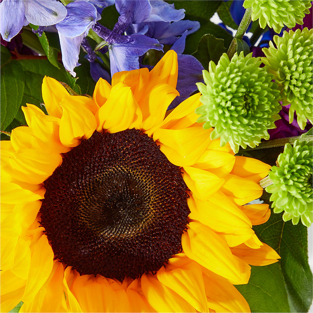 Catching Rays Bouquet – SWEET CREATIONS BROOKFIELD FLWRS & BLLNS, Brookfield IL