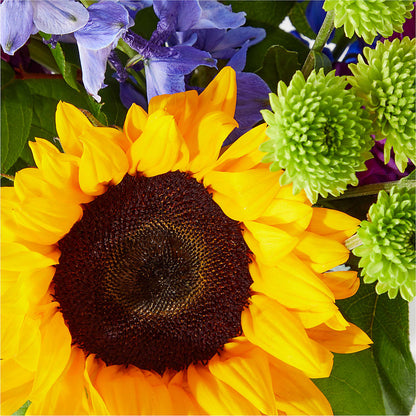 Catching Rays Bouquet – SWEET CREATIONS BROOKFIELD FLWRS & BLLNS, Brookfield IL