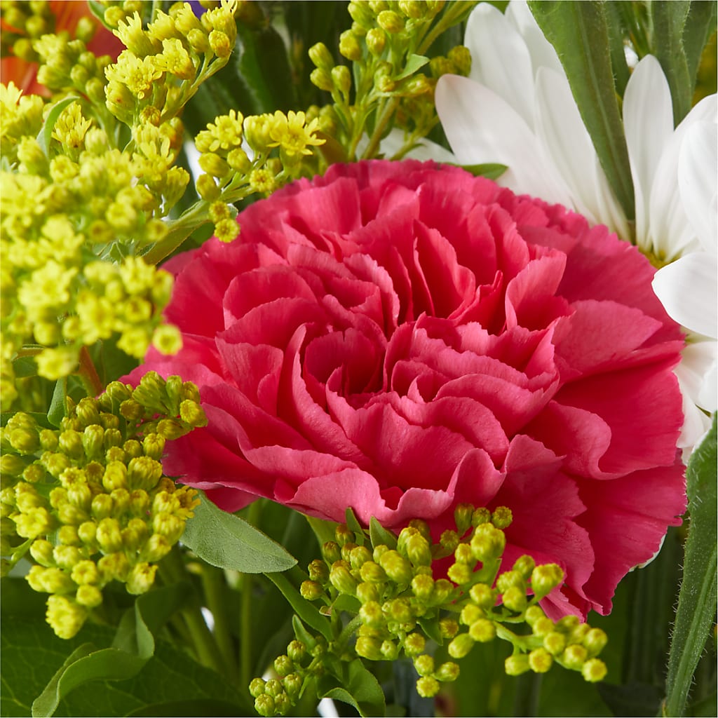 Oopsie Daisy Bouquet – SWEET CREATIONS BROOKFIELD FLWRS & BLLNS, Brookfield IL