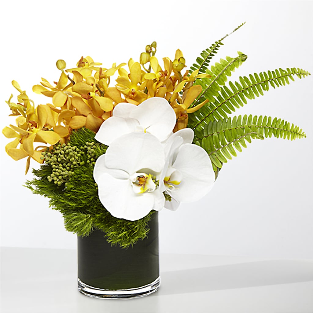 The Tropics – SWEET CREATIONS BROOKFIELD FLWRS & BLLNS, Brookfield IL