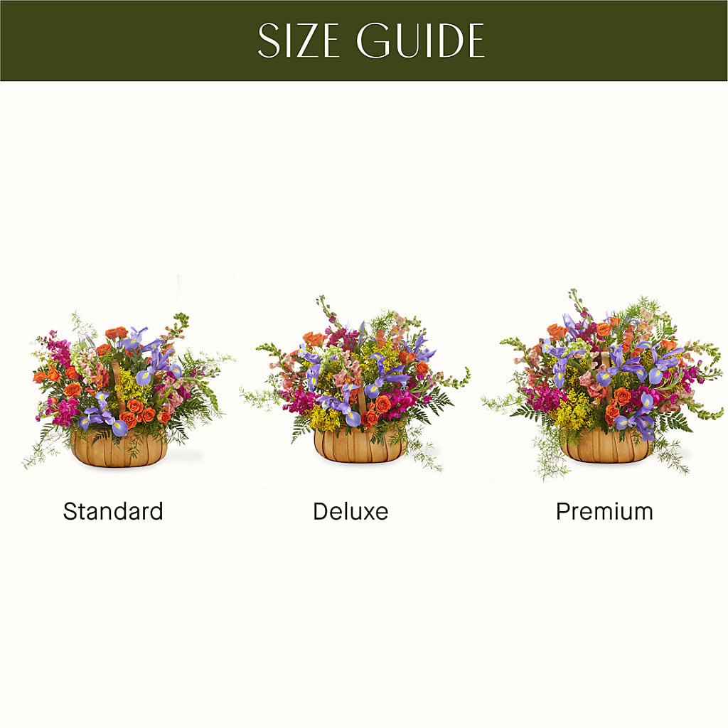 Garden of Life Basket – SWEET CREATIONS BROOKFIELD FLWRS & BLLNS, Brookfield IL