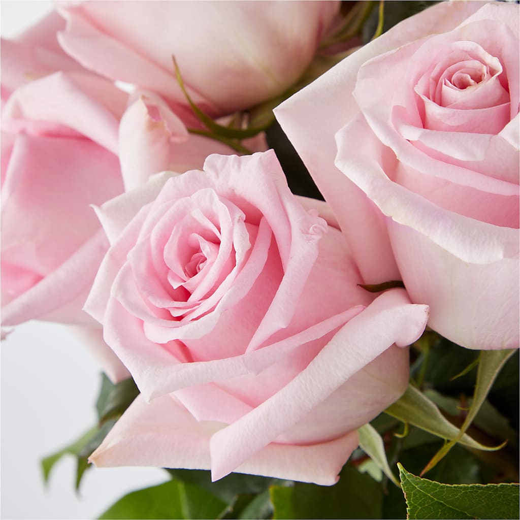 Picture Perfect Pink Rose Bouquet – SWEET CREATIONS BROOKFIELD FLWRS & BLLNS, Brookfield IL