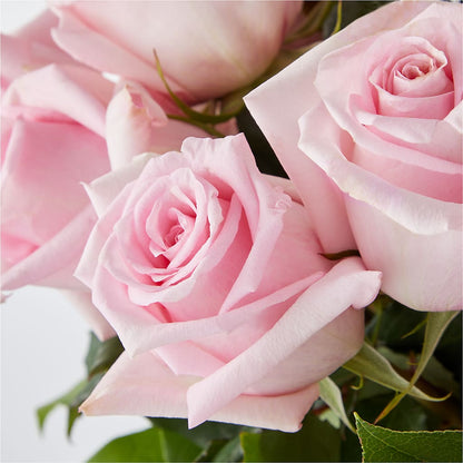 Picture Perfect Pink Rose Bouquet – SWEET CREATIONS BROOKFIELD FLWRS & BLLNS, Brookfield IL