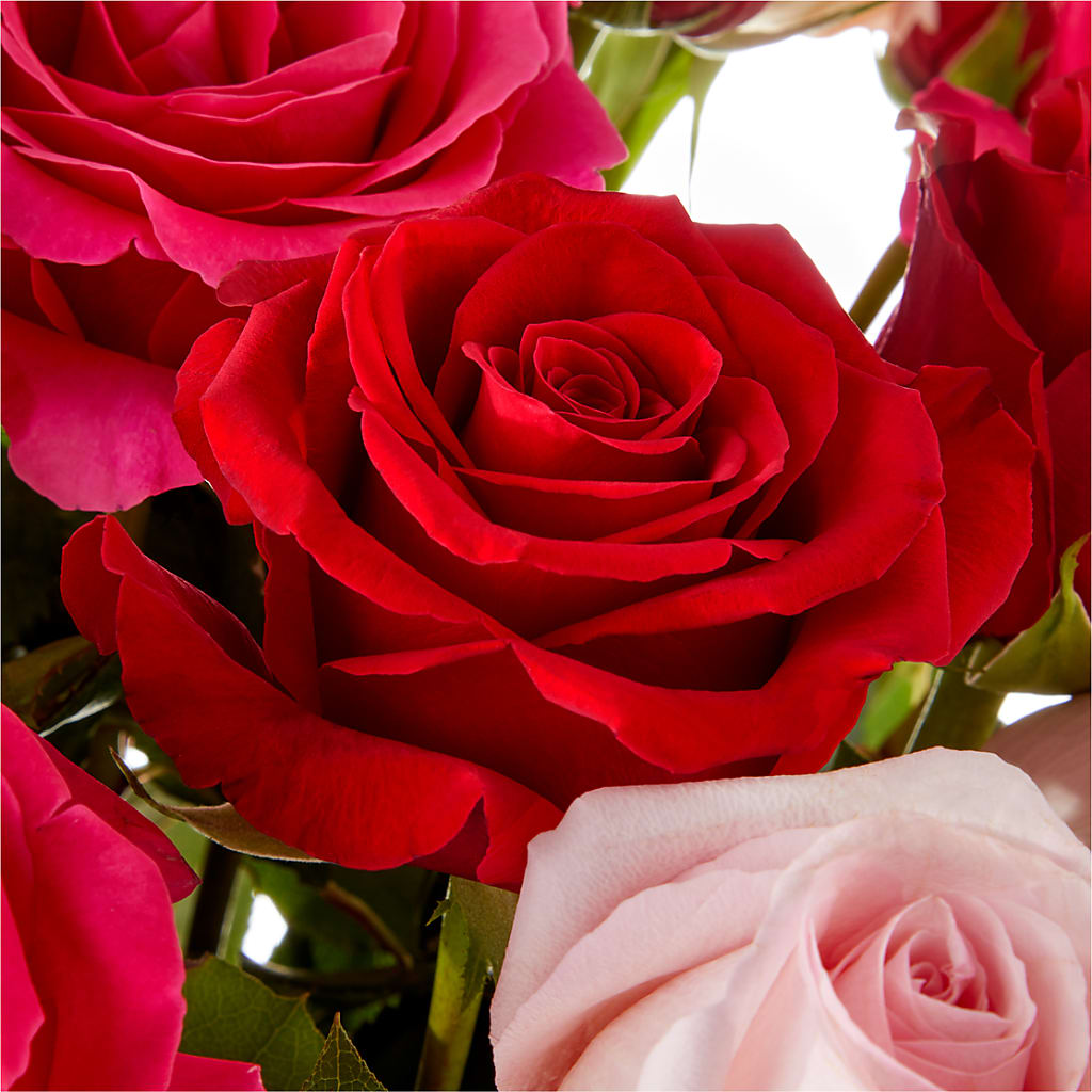 Love Notes Rose Bouquet – SWEET CREATIONS BROOKFIELD FLWRS & BLLNS, Brookfield IL