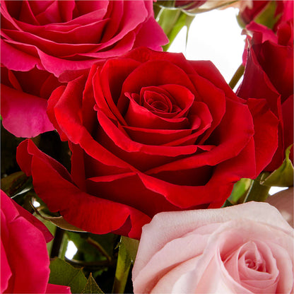 Love Notes Rose Bouquet – SWEET CREATIONS BROOKFIELD FLWRS & BLLNS, Brookfield IL