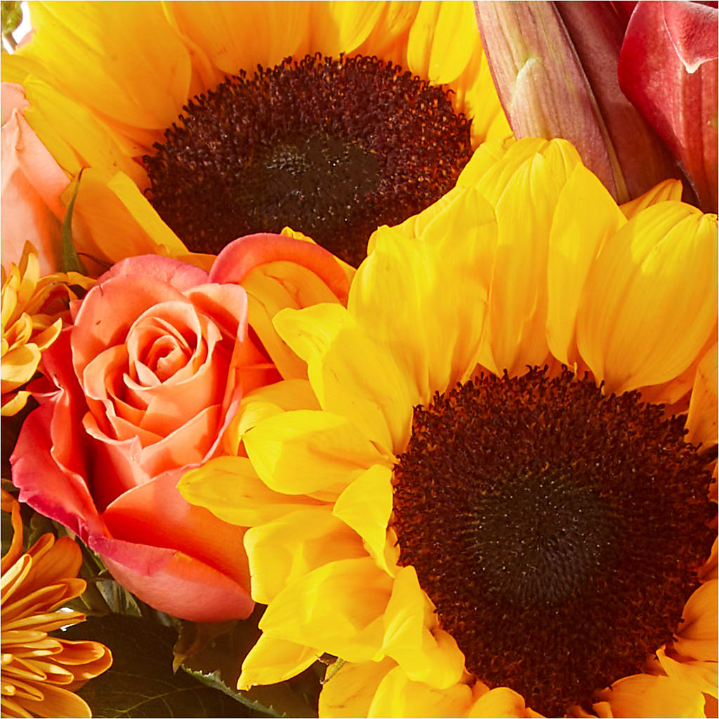 Acorn Lane Bouquet – SWEET CREATIONS BROOKFIELD FLWRS & BLLNS, Brookfield IL