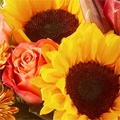 Acorn Lane Bouquet – SWEET CREATIONS BROOKFIELD FLWRS & BLLNS, Brookfield IL