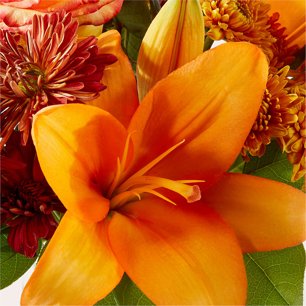 Autumnal Aroma Bouquet – SWEET CREATIONS BROOKFIELD FLWRS & BLLNS, Brookfield IL