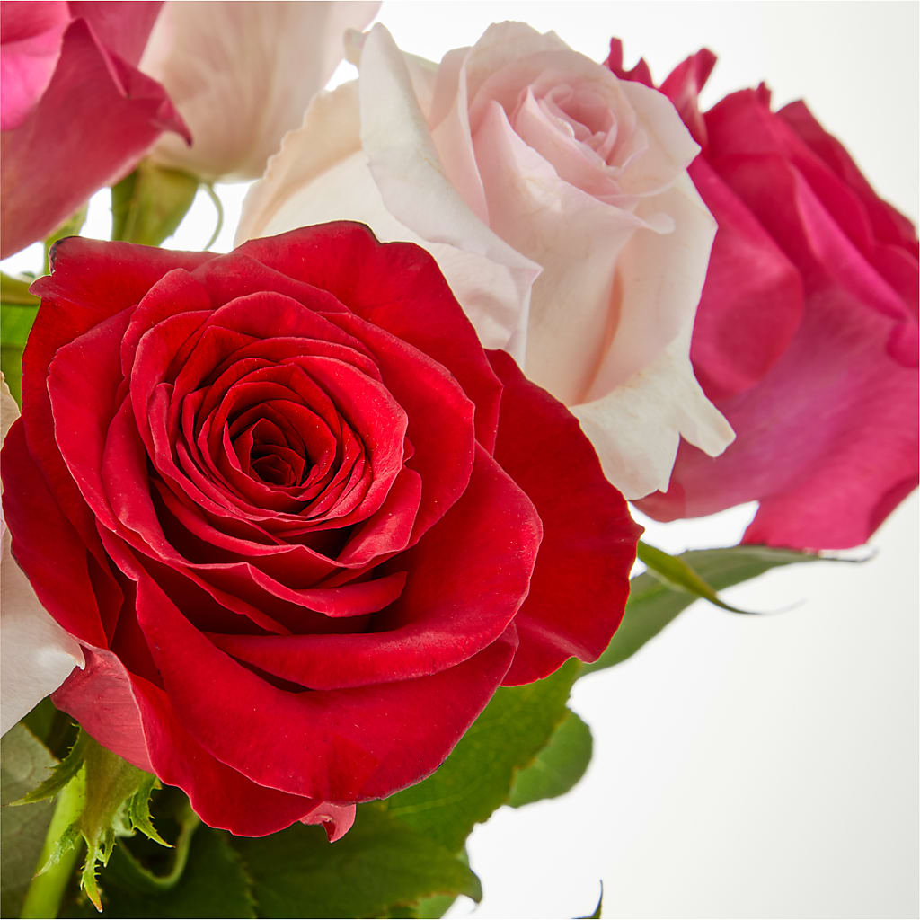 Charming Rose Bouquet – SWEET CREATIONS BROOKFIELD FLWRS & BLLNS, Brookfield IL