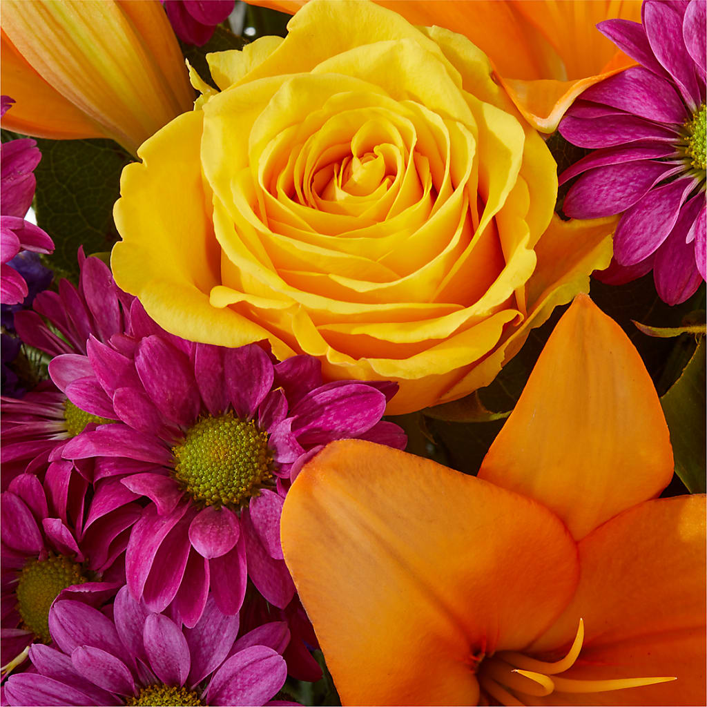 Colorful Visions Bouquet – SWEET CREATIONS BROOKFIELD FLWRS & BLLNS, Brookfield IL