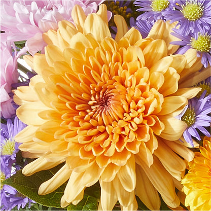 Countryside Bouquet – SWEET CREATIONS BROOKFIELD FLWRS & BLLNS, Brookfield IL