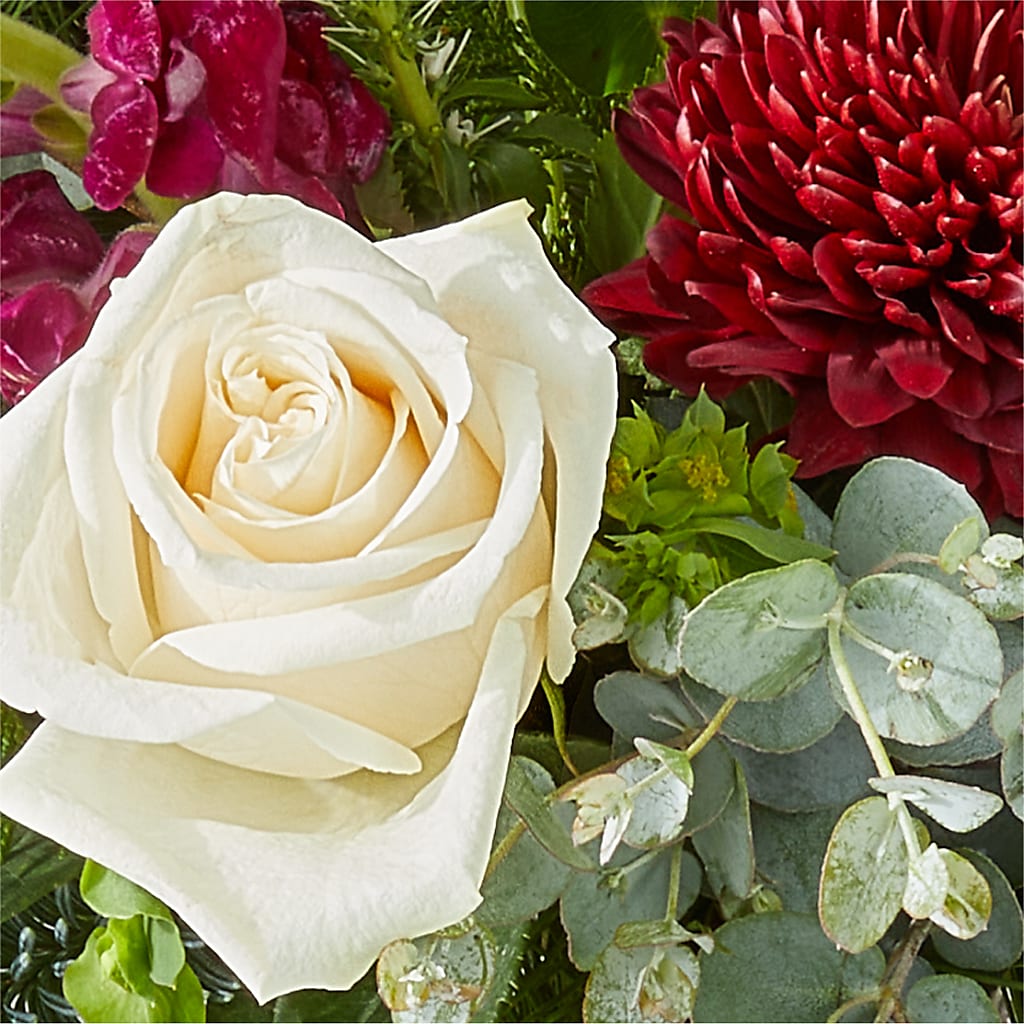 Cranberry Fizz Bouquet – SWEET CREATIONS BROOKFIELD FLWRS & BLLNS, Brookfield IL