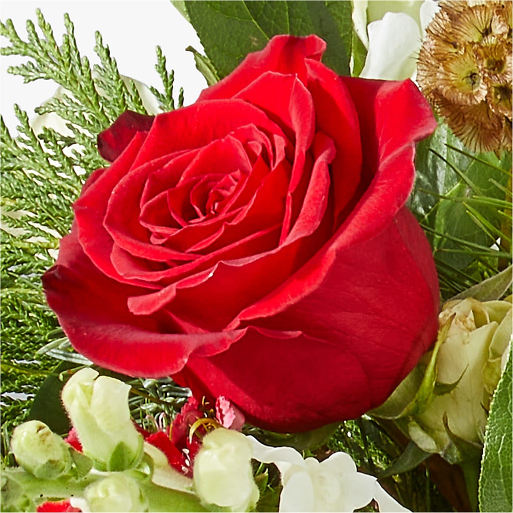 Deck the Halls Bouquet – SWEET CREATIONS BROOKFIELD FLWRS & BLLNS, Brookfield IL