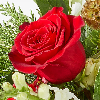 Deck the Halls Bouquet – SWEET CREATIONS BROOKFIELD FLWRS & BLLNS, Brookfield IL
