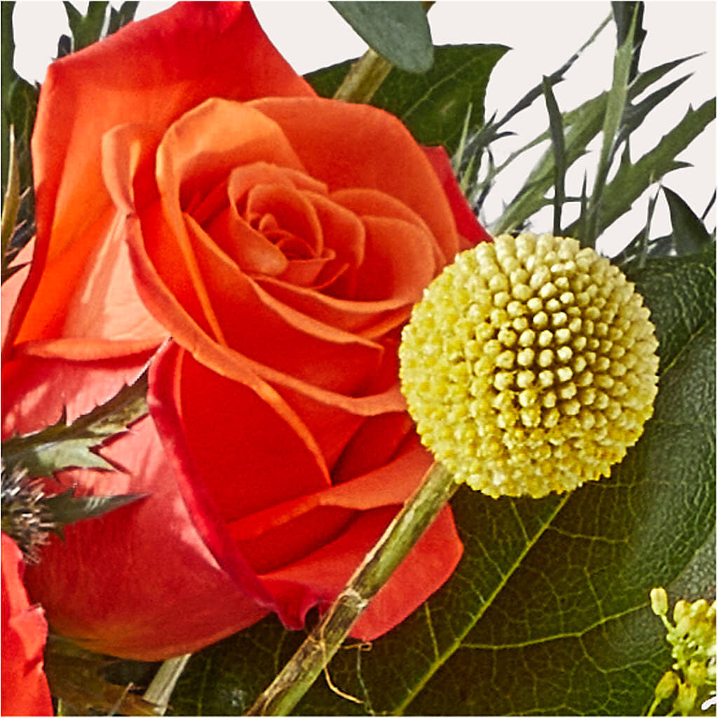 Disco Bouquet – SWEET CREATIONS BROOKFIELD FLWRS & BLLNS, Brookfield IL