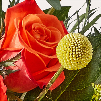 Disco Bouquet – SWEET CREATIONS BROOKFIELD FLWRS & BLLNS, Brookfield IL