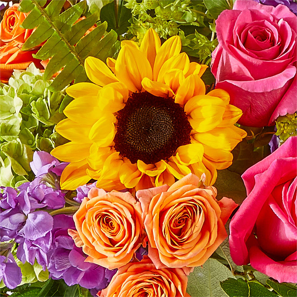 Vibrant Greetings Bouquet – SWEET CREATIONS BROOKFIELD FLWRS & BLLNS, Brookfield IL
