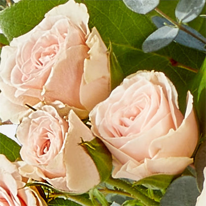 Inspired Bouquet – SWEET CREATIONS BROOKFIELD FLWRS & BLLNS, Brookfield IL
