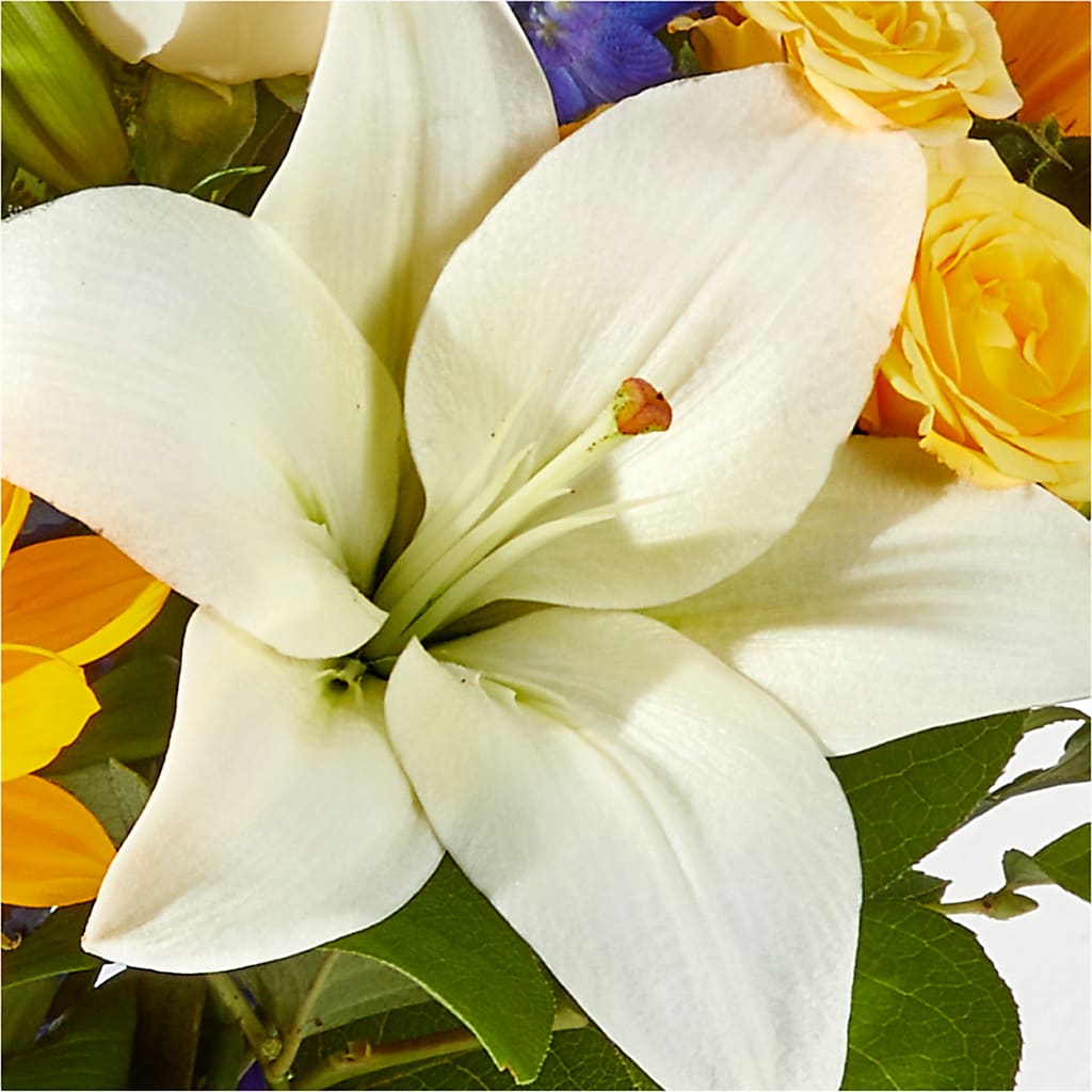 Wonderfully Sunny Bouquet – SWEET CREATIONS BROOKFIELD FLWRS & BLLNS, Brookfield IL