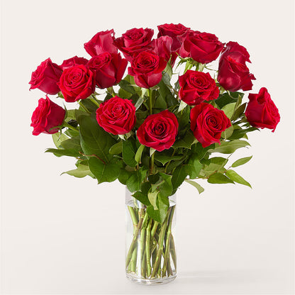 The One Red Rose Bouquet – SWEET CREATIONS BROOKFIELD FLWRS & BLLNS, Brookfield IL