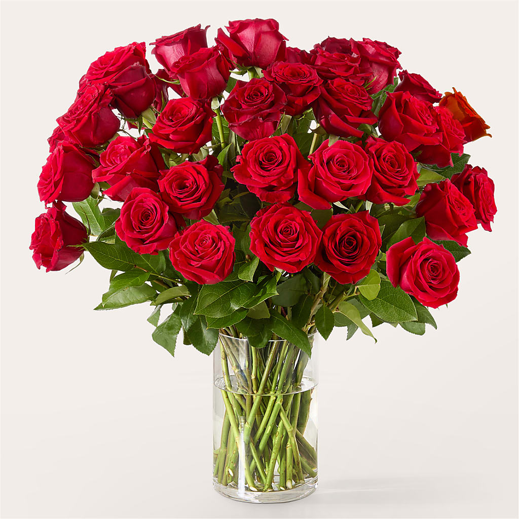 The One Red Rose Bouquet – SWEET CREATIONS BROOKFIELD FLWRS & BLLNS, Brookfield IL