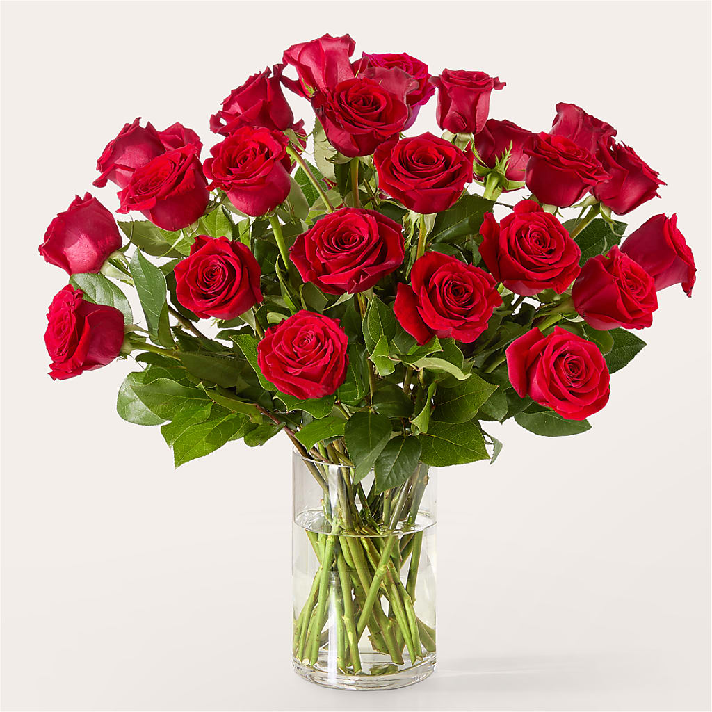 The One Red Rose Bouquet – SWEET CREATIONS BROOKFIELD FLWRS & BLLNS, Brookfield IL